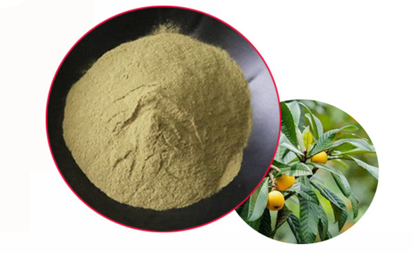 Poudre d'acide ursolique.jpg