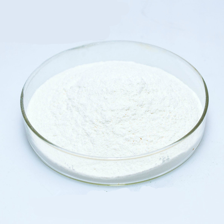 poudre de danshensu.jpg