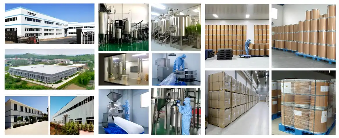 Factory_副本.jpg