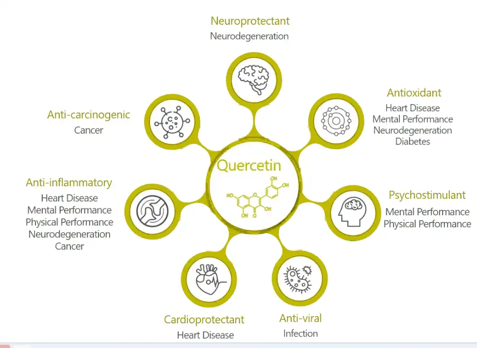 MiMouseShot20251104151530.png MiMouseShot20251104151530.png