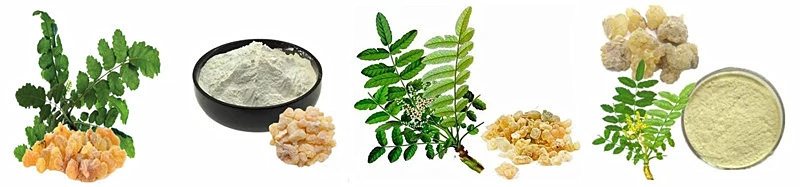Amandean Boswellia extract.jpg