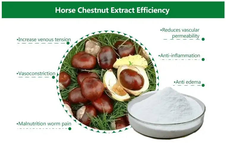 Horse Chestnut Extract Te paura ma.png