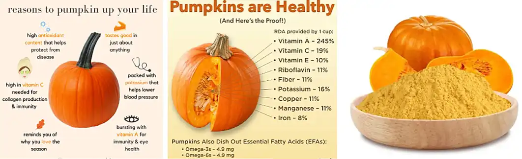 Poudre de citrouille en vrac 1.png