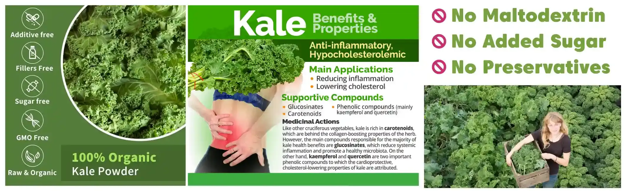 kale-benefits-and-properties-437713-section.webp