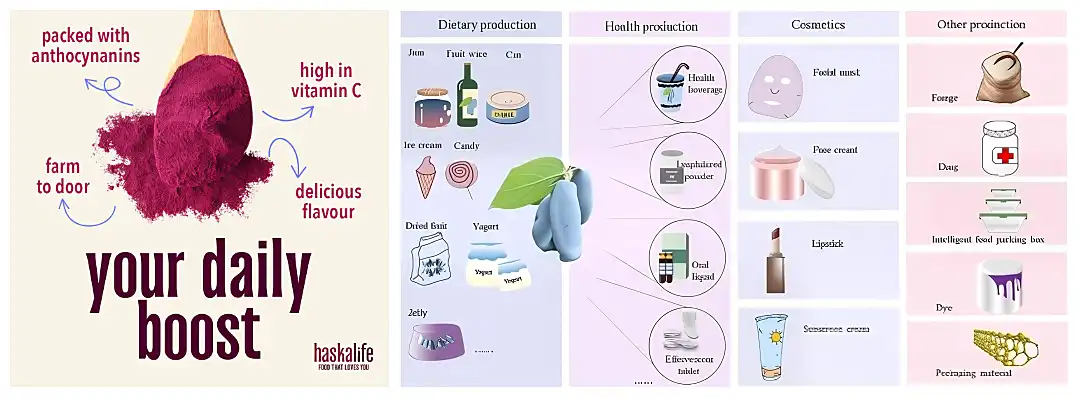 MiMouseShot20251201111545.png MiMouseShot20251201111545.png