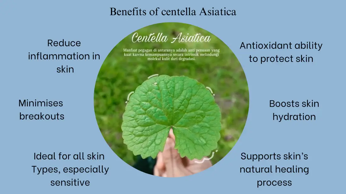 Heading.webp Heading.webp