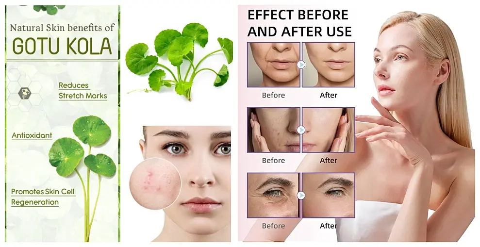 MiMouseShot20260108103259.webp MiMouseShot20260108103259.webp