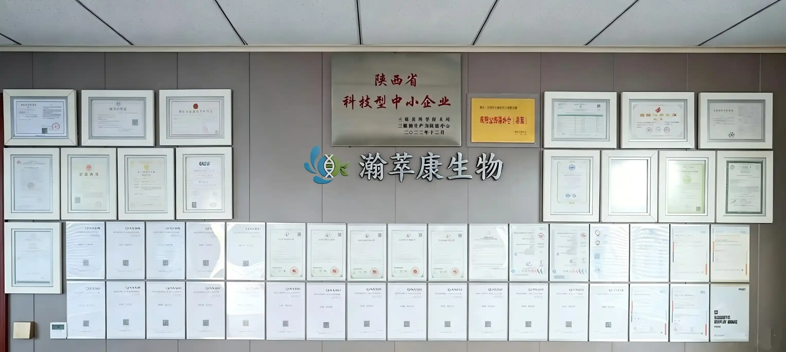证书.webp 证书.webp