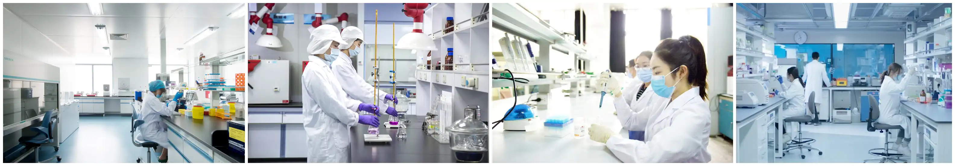 product-1-1 product-1-1