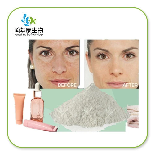 alpha arbutin alpha arbutin