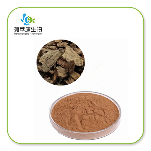 Kiefernrindenextrakt 95 % Proanthocyanidine OPC-Pulver