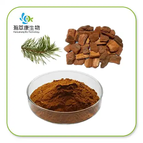 Kiefernrindenextrakt 95 % Proanthocyanidine OPC-Pulver