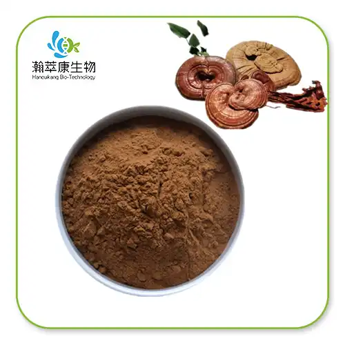 Ganoderma lucidum-Pilz