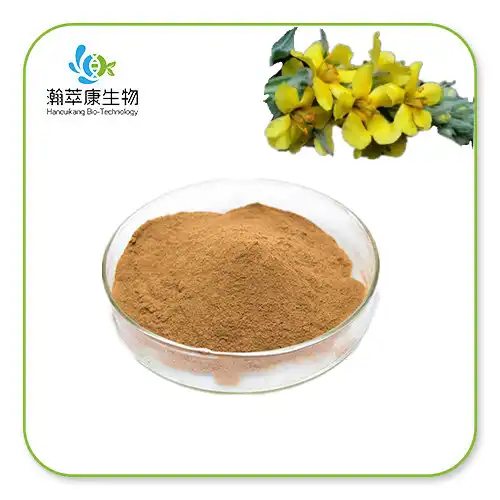 Bột chiết xuất Mullein