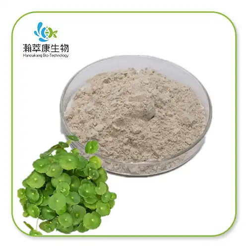Centella Asiatica-Extraktpulver