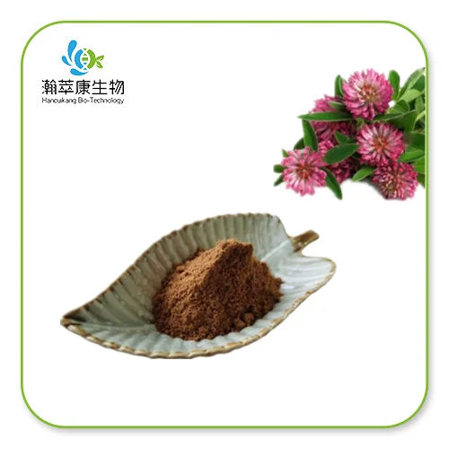 Chiết xuất hoa Trifolium Pratense chất lượng cao
