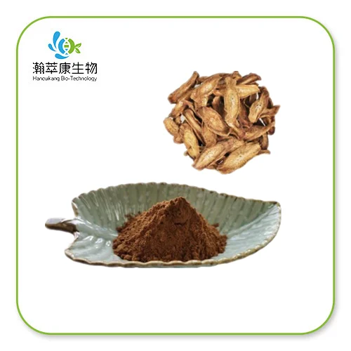 Bột chiết xuất cây ngưu bàng