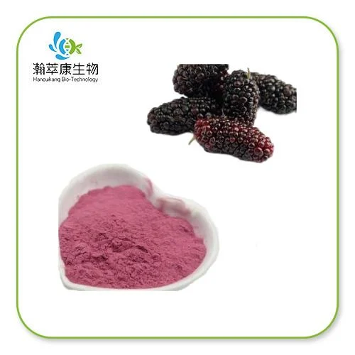 Mulberry Juice Powder